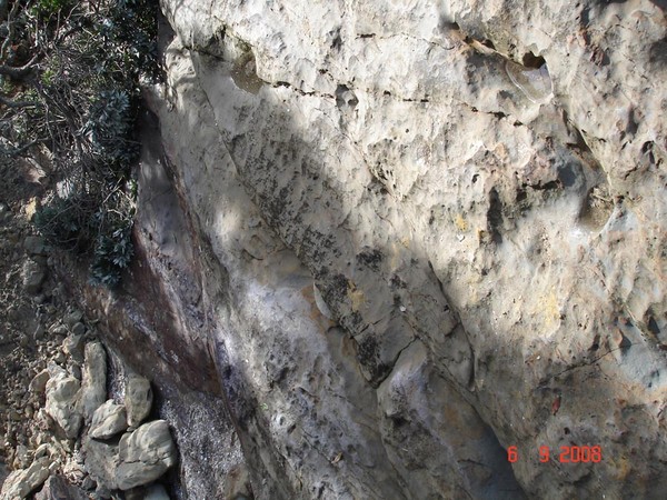 New cracks have become apparent in the rocks at the base of the cliff in the area of 116 Clovelly Road.  These have appeared in the past three days.